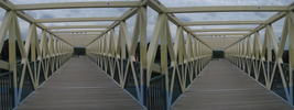 r60.jpg