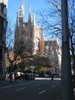 p014.jpg