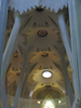 p036.jpg