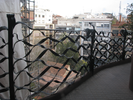 p122.jpg
