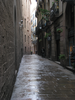 p155.jpg