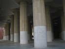 p239.jpg
