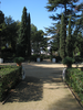 p126.jpg