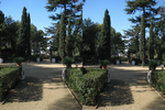 r125.jpg