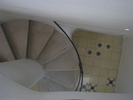 p339.jpg