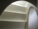 p350.jpg