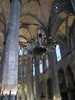 p442.jpg