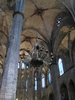 p446.jpg