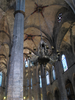 p447.jpg