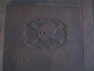 p450.jpg