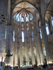 p460.jpg