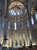 p461.jpg
