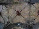 p491.jpg