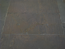 p499.jpg