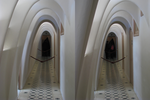 r376.jpg