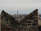 p011.jpg