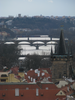 p014.jpg