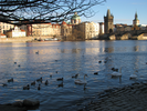 p104.jpg