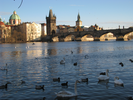 p106.jpg