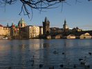 p107.jpg