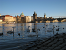 p111.jpg