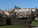 p011.jpg