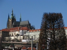 p017.jpg
