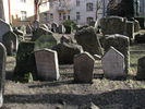 p032.jpg