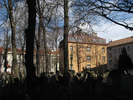 p035.jpg