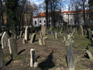 p038.jpg