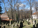 p043.jpg