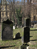 p049.jpg