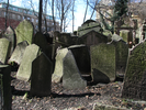 p061.jpg