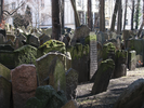 p068.jpg
