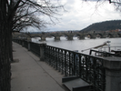 p019.jpg