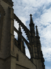 p166.jpg