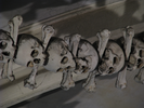 p306.jpg