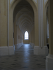 p446.jpg