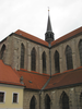 p490.jpg