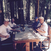 p5.jpg