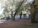 p092.jpg