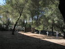 p094.jpg
