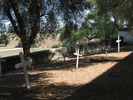 p095.jpg