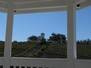 p006.jpg
