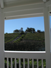 p007.jpg