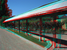 a021.jpg