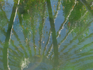 p059.jpg