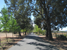 p08.jpg
