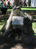 p19.jpg