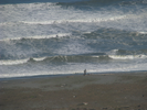p42.jpg